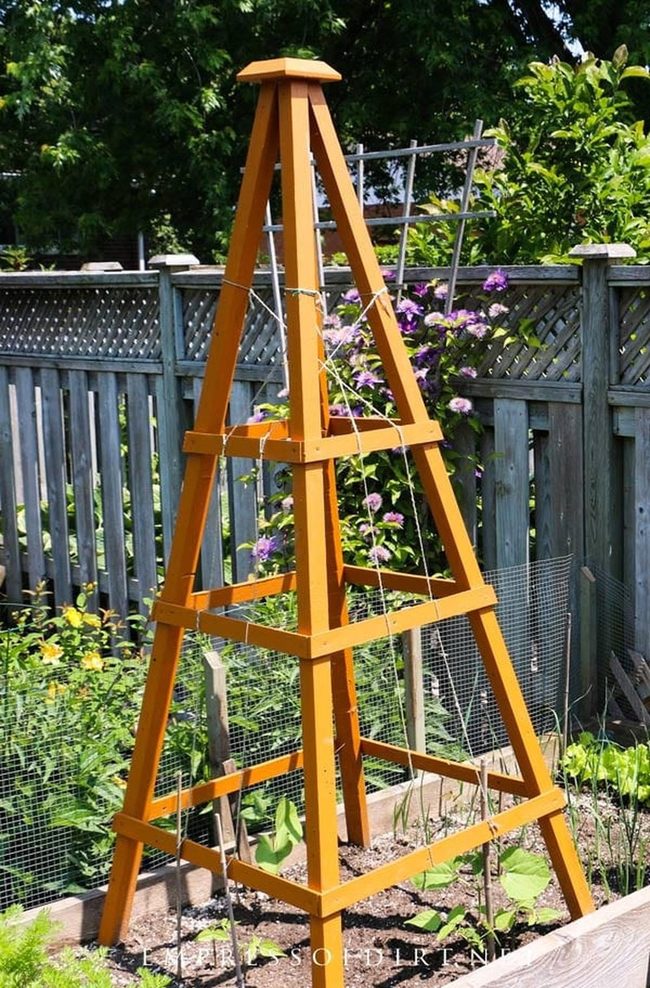 Honey Geometric Garden Structure