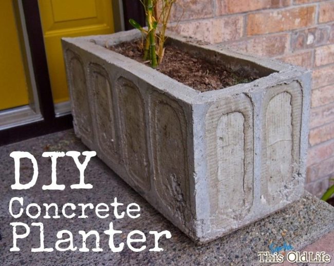 Gray Concrete Planter With Green Plants