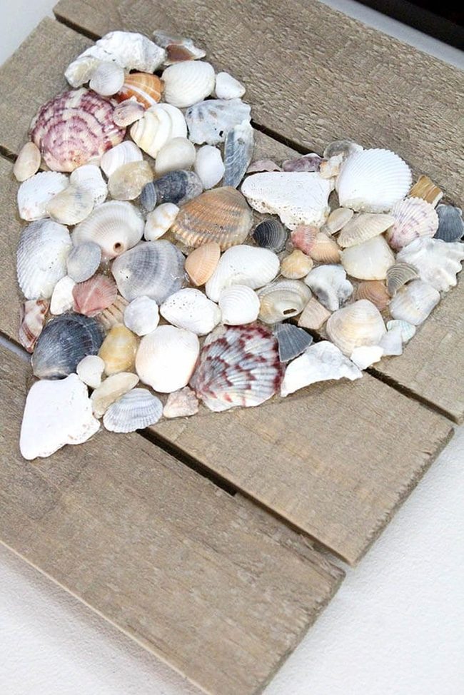 Seashell Heart On Driftwood