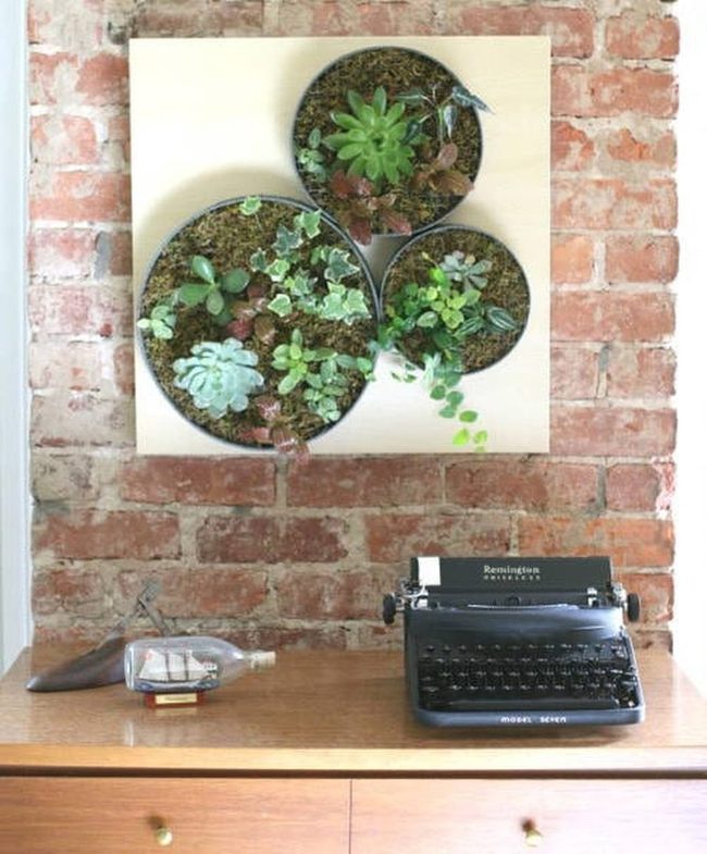 Wooden Wall Gardens Succulents