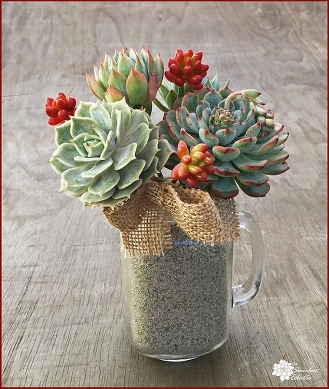 Green And Purple Succulent Pins