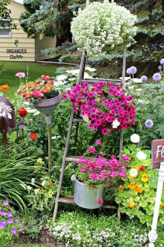 Pastel Blooms On Wooden Ladder