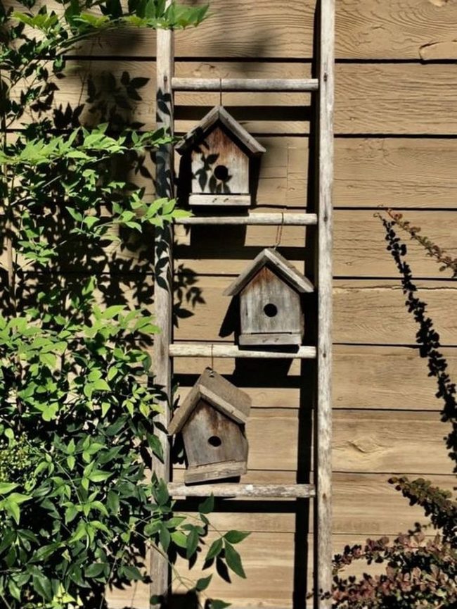 Wooden Birdhouses And Dappled Shadows