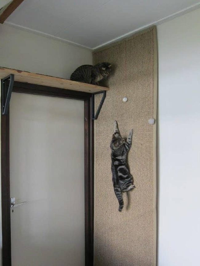 Tall Natural Scratching Post Paradise