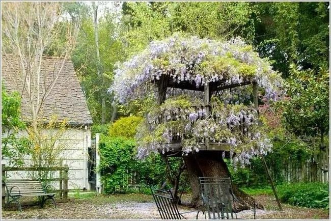 Tree Stump Garden Nook