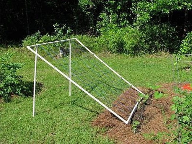 White Pvc Climbing Frame Garden