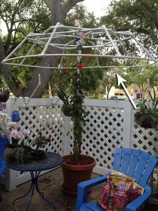White Pvc Plant Canopy Frame