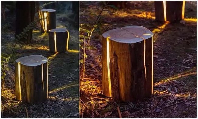 Natural Wood Stump Lighting Seats