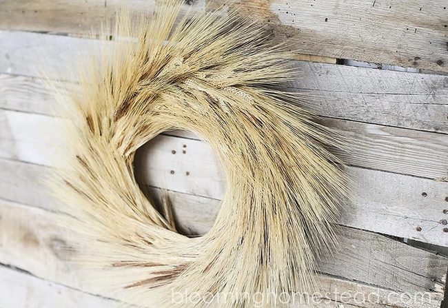 Golden Wheat Wreath On Wood