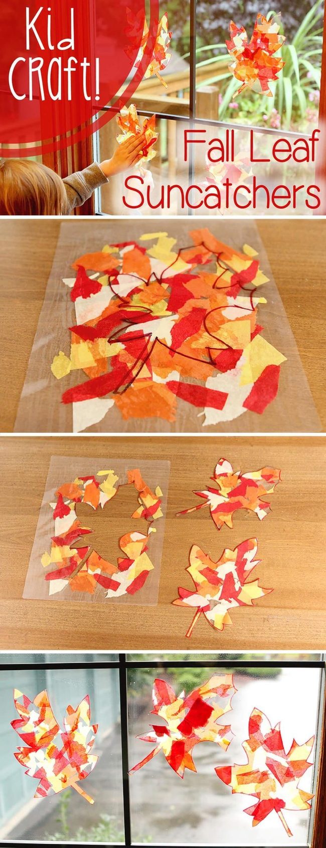 Autumn Leaves Glowing Windows