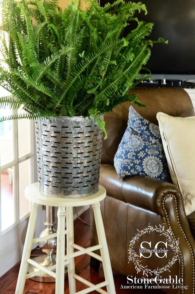 Ferns In Silver Pots