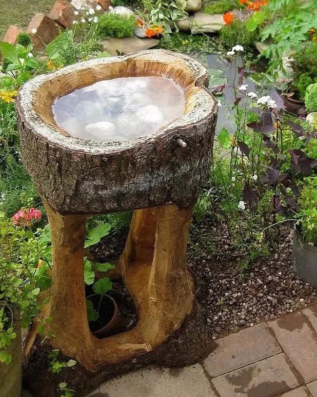 Hollowed Bark Birdbath Garden
