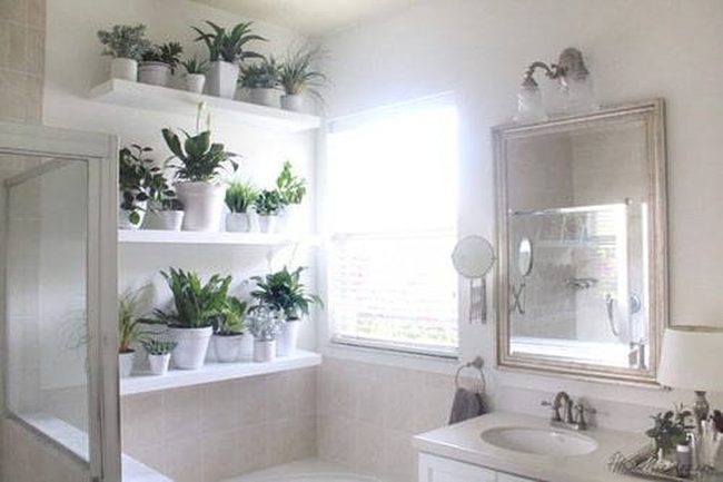 Bathroom Green Wall Garden