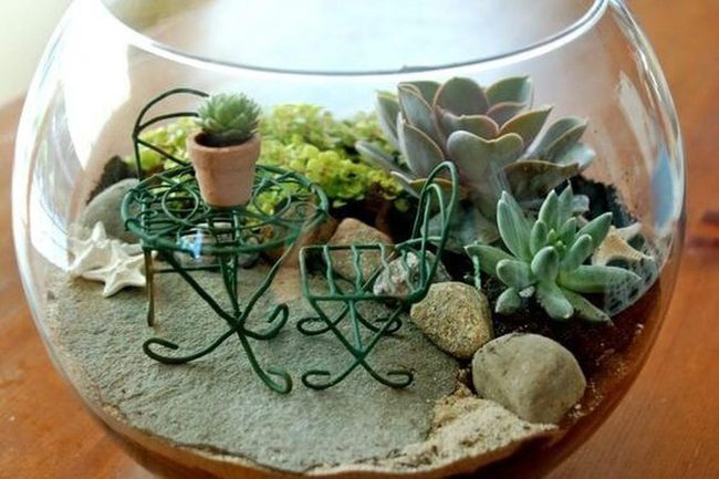 Succulent Garden In Glass Planter