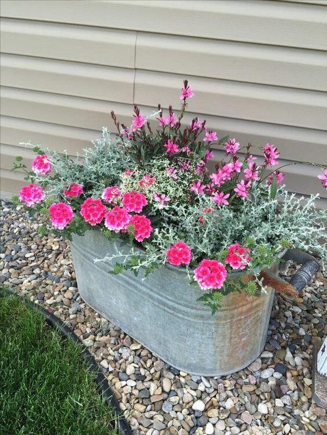 Weathered Metal Planters With Bright Blooms