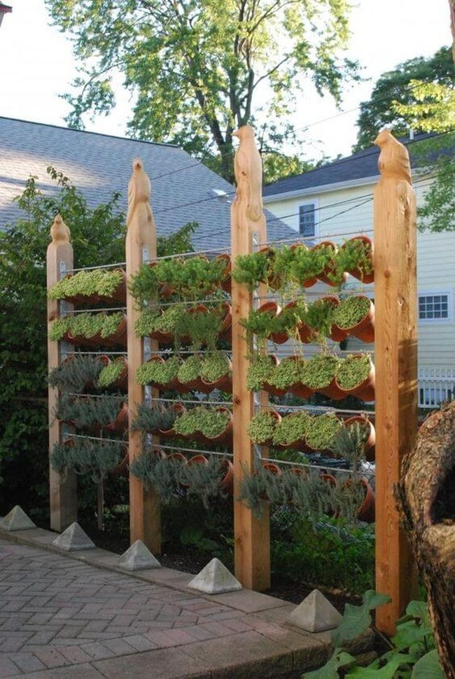 Terracotta Herb Garden Frame