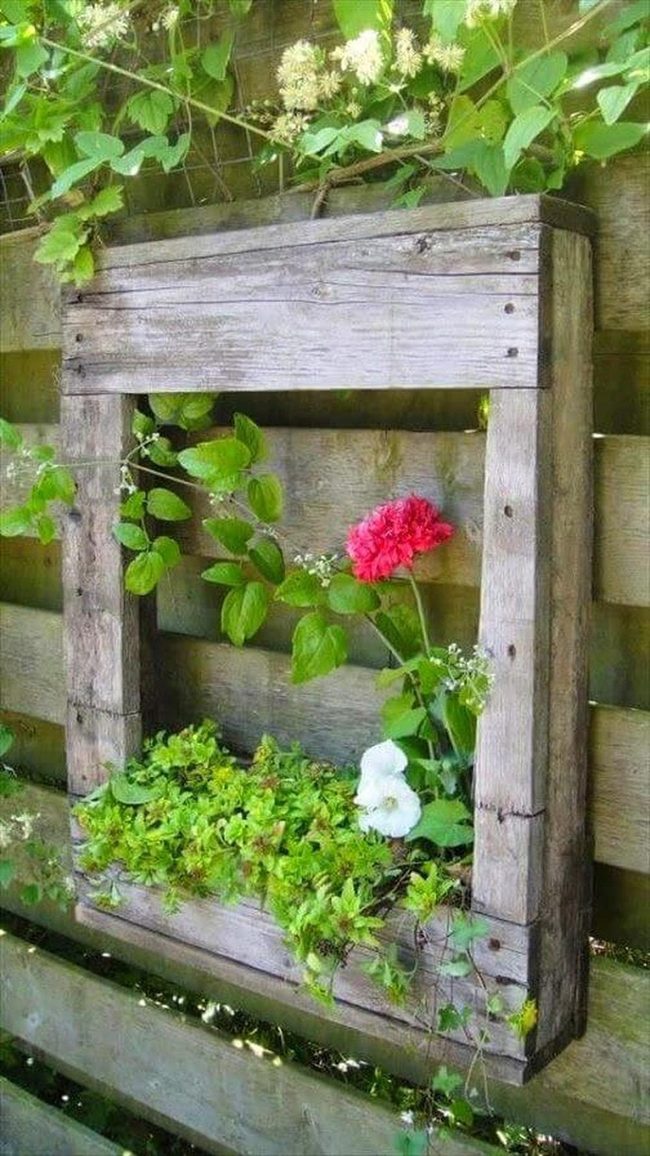 Wooden Pallet Bursting With Blooms