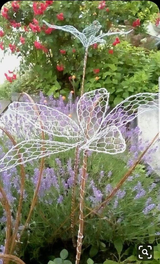 Metallic Dragonflies Dancing Light