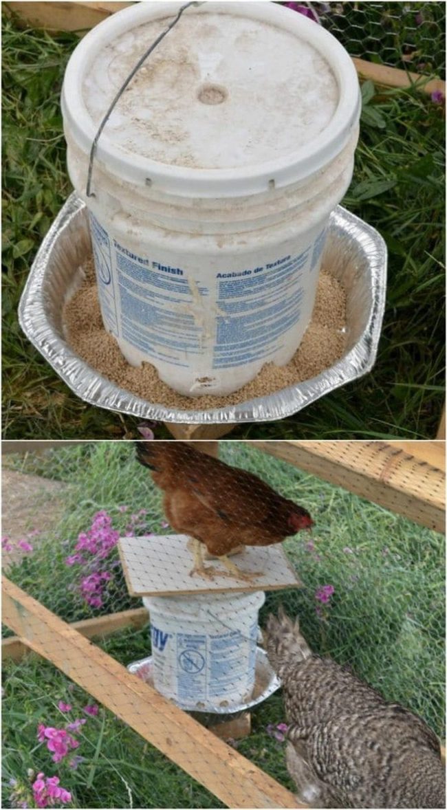 Five-Gallon Bucket Chicken Feeder