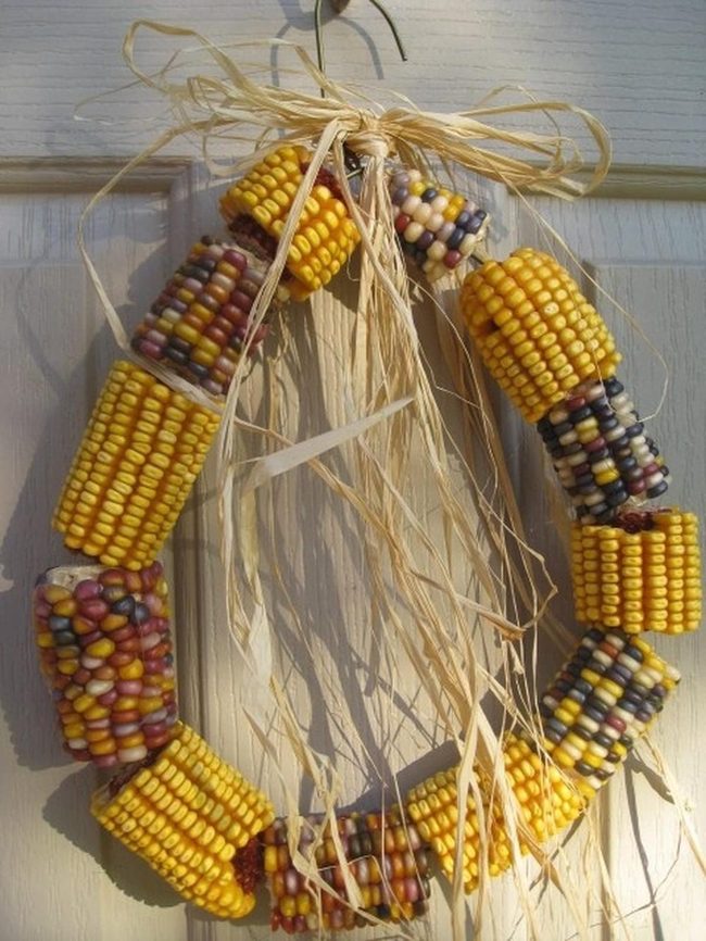 Multicolored Corn Kernels Circle