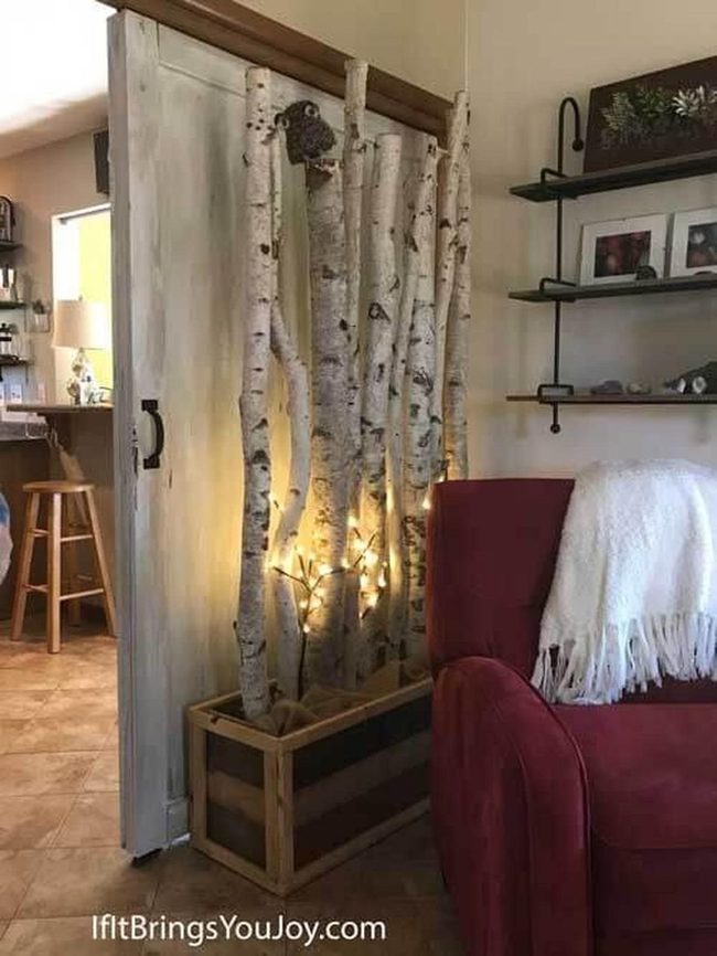 Birch Trees In Natural Wood Planter