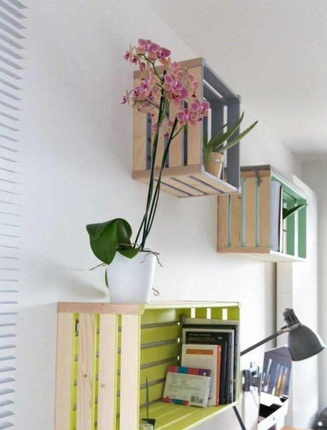 Pink Orchids On Green Shelves
