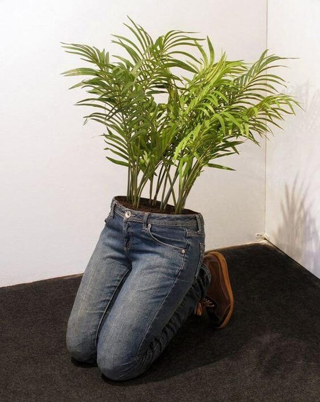 Jeans Turned Living Planter