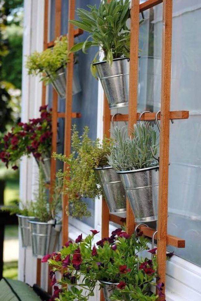 Living Herb Wall With Blooms