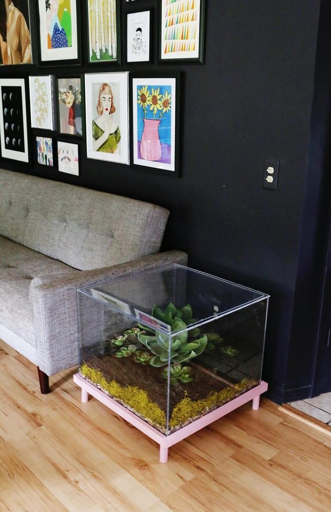 Glass Tabletop Living Terrarium