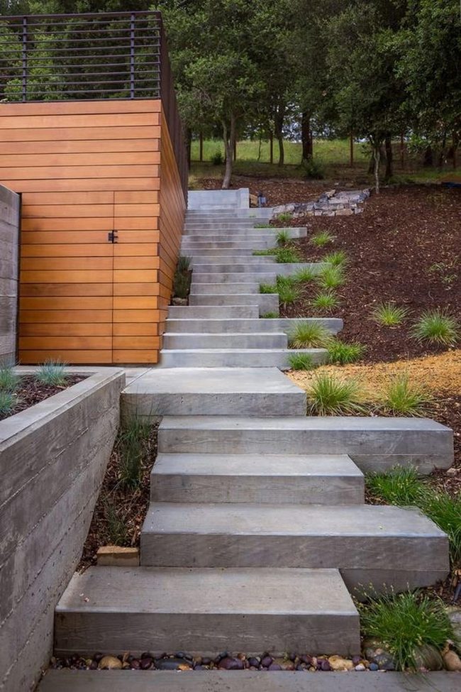 Concrete Stairs Through Green