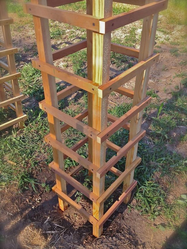 Wooden Garden Support Structure