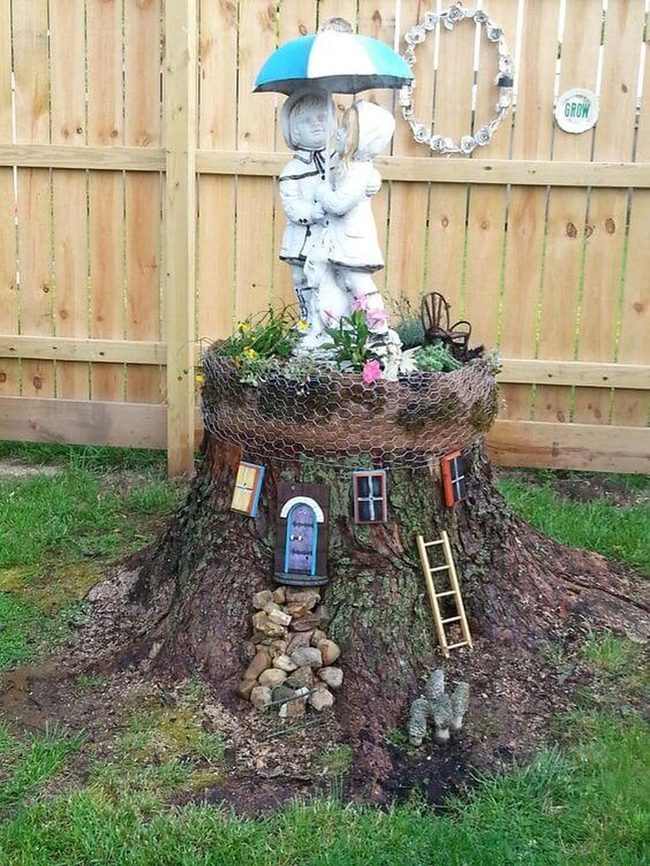 Miniature Worlds Among Tree Stumps