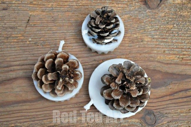 Wax-Dipped Pine Cones