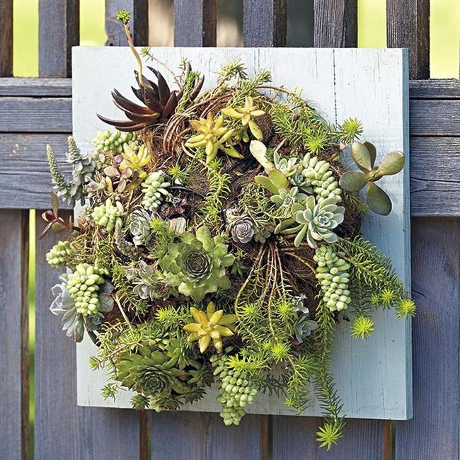 Living Green Wall Art