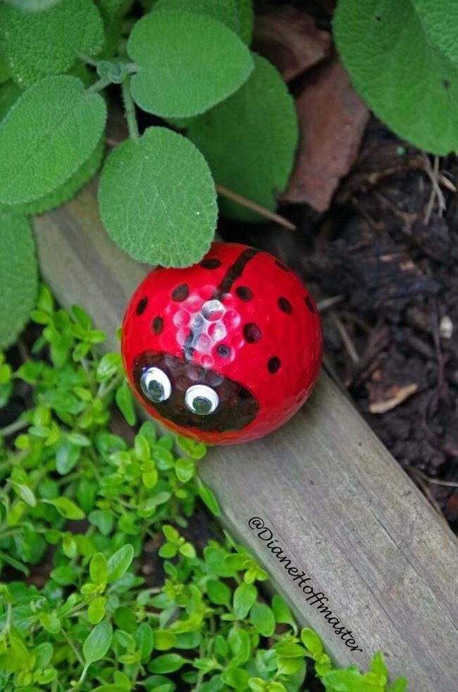Red Golf Ball Ladybugs