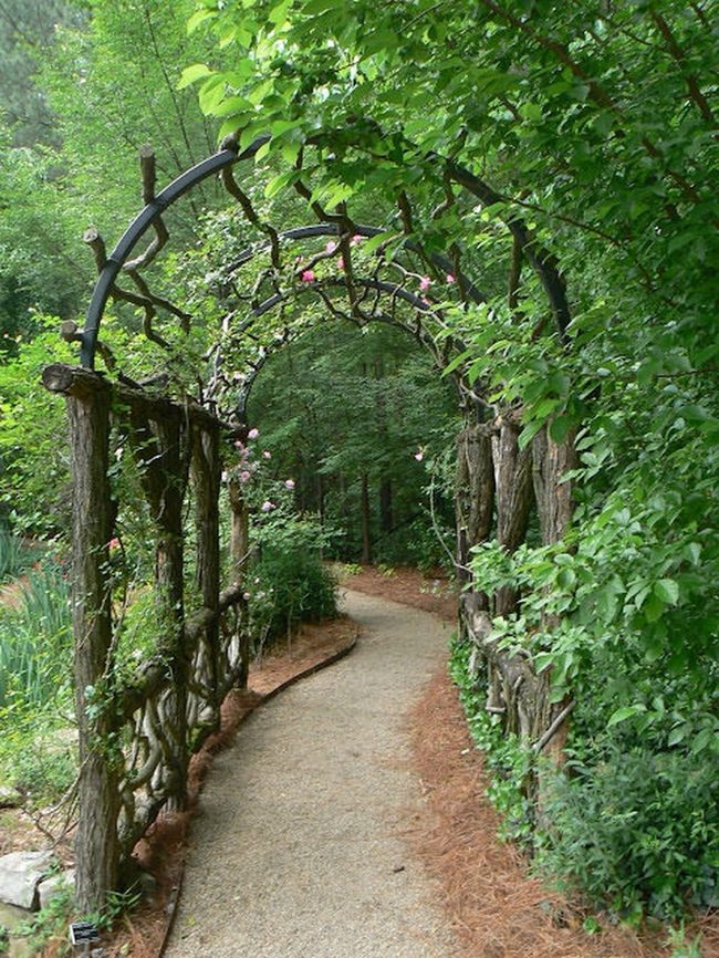 Raw Wood Garden Archways