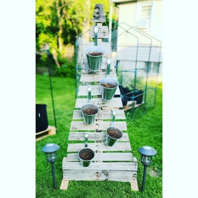 Wooden Trees With Living Blooms