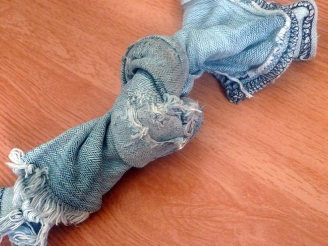 Beloved Blue Chewed Companion
