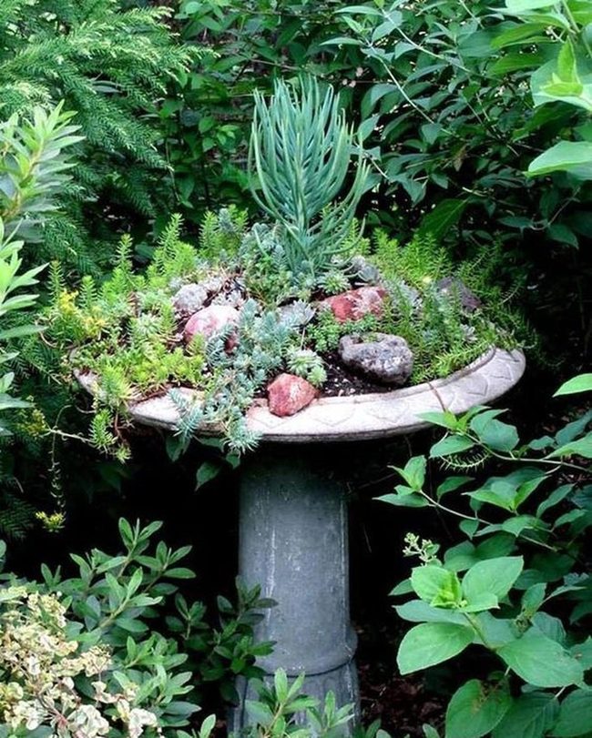 Repurposed Birdbath Succulent Garden