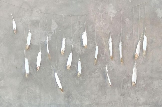 Floating Feathers Cast Shadows