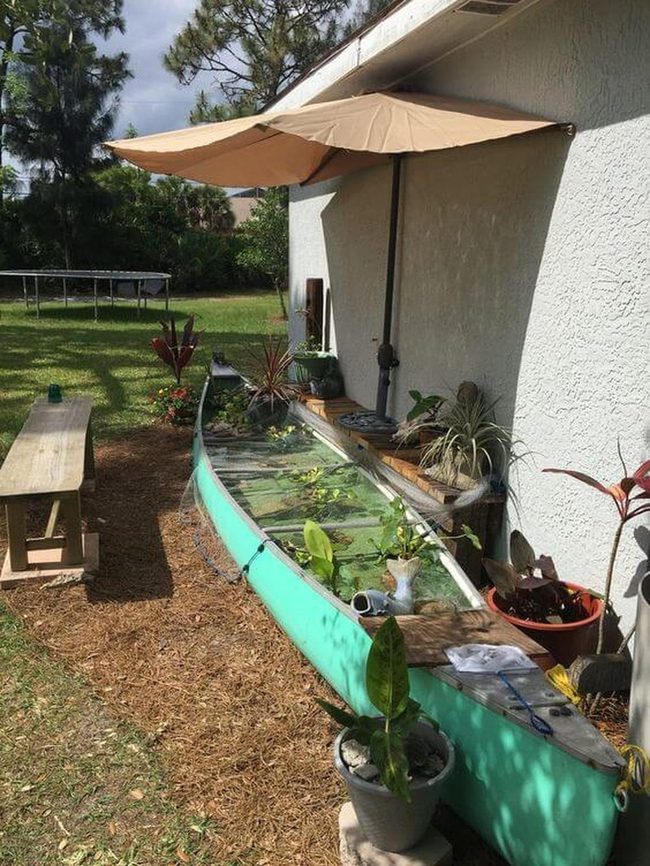 Aqua Kayak Pond Garden