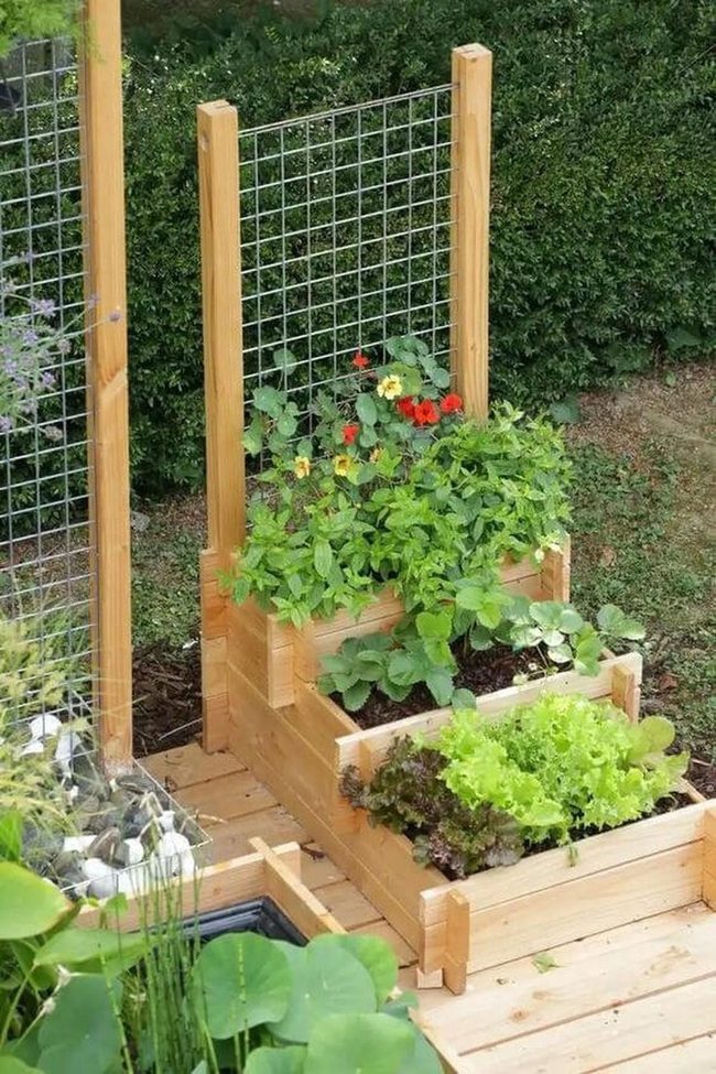 Vertical Abundance Layered Gardens