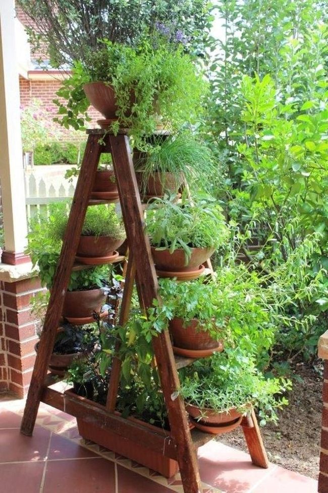 Terracotta Ladder Plant Display