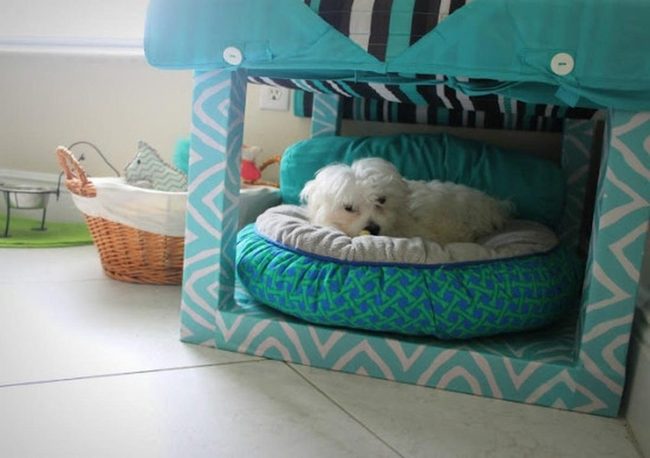 Green And Blue Patterned Pet Bed
