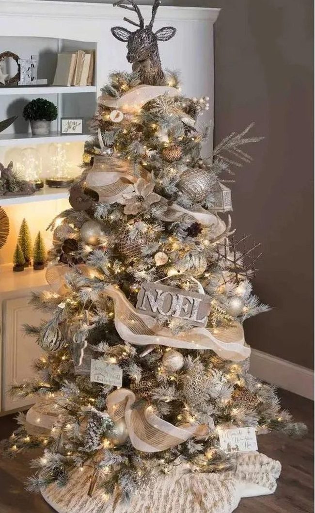Twinkling White Lights On Evergreen