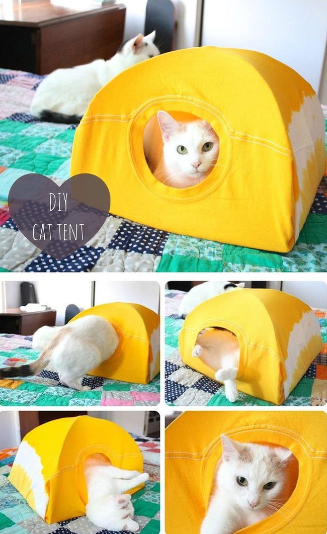 Spare T-Shirt Cat Tent