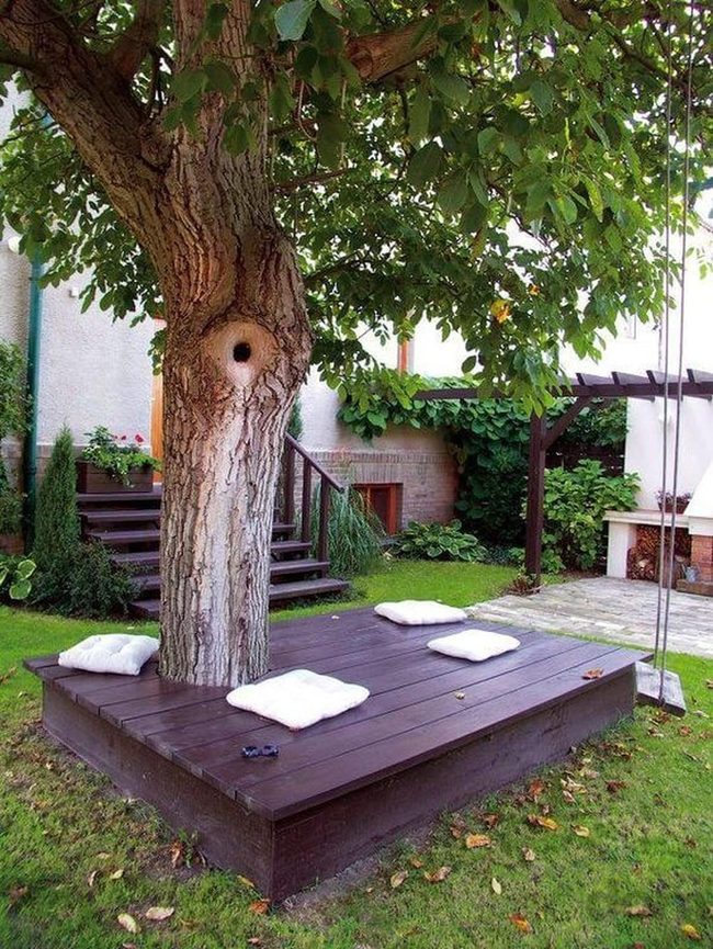 Treehouse Among Green Canopy