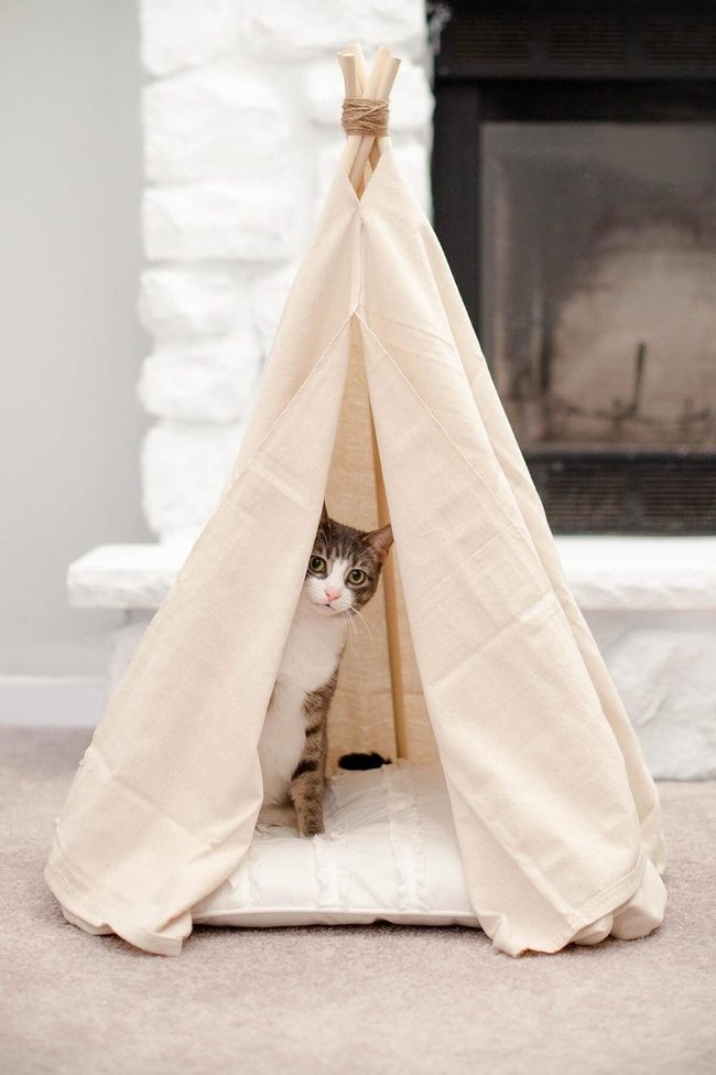 Cat Teepee Hideaway Fort