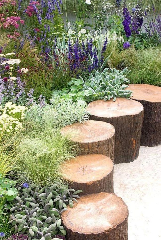 Layered Garden With Wood Stumps