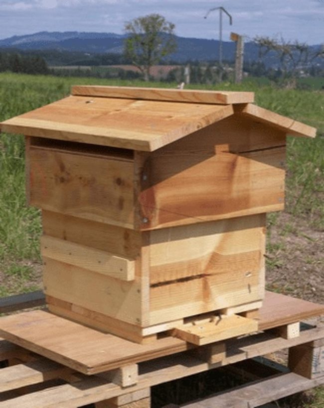 Honest Wood Field Shelter